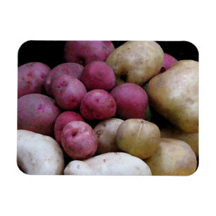 Kartoffel-Magnet Magnet