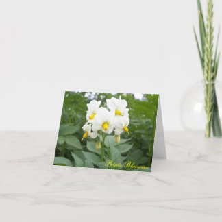 Kartoffelblütennotecard Karte