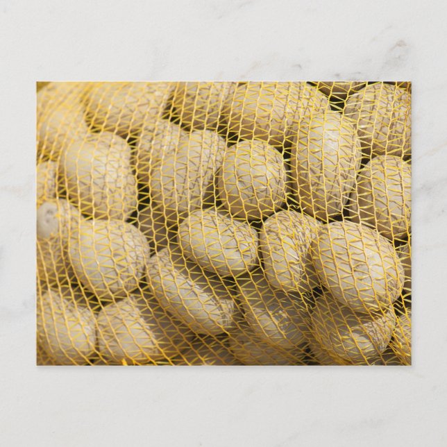 Kartoffeln Postkarte (Vorderseite)