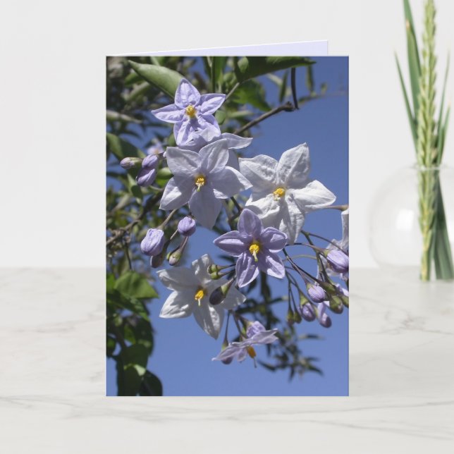 Kartoffelwein Karte (Vorderseite)