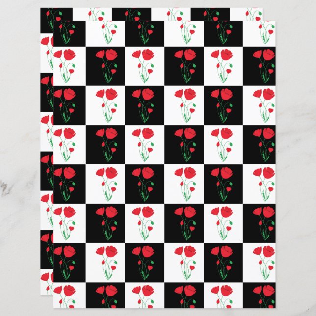 Karton-Karton (Vorne/Hinten)