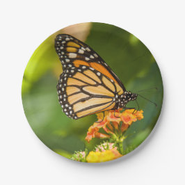 Kartonsockel Photoschmetterling auf einer Blume Pappteller