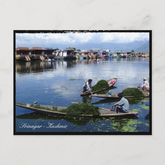 Kaschmir, Srinagar - Urlaub am Dal Lake / Indien Postkarte (Vorderseite)