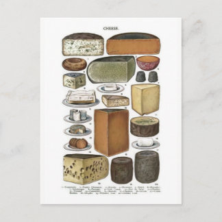 Käse Postkarte