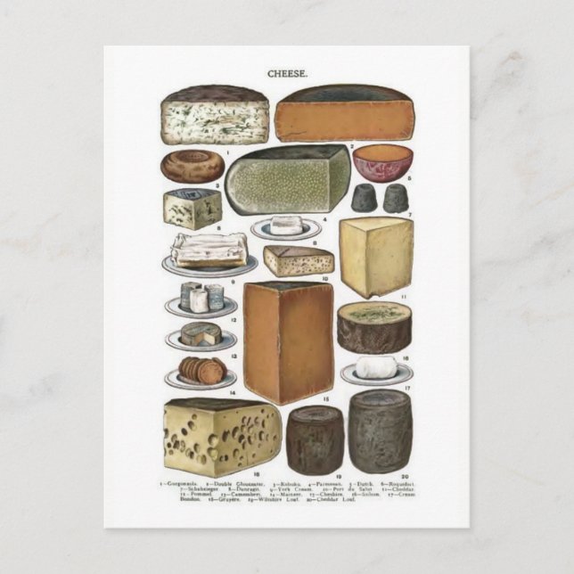Käse Postkarte (Vorderseite)