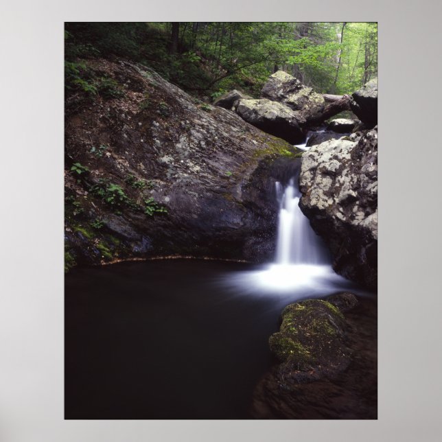 Kaskade auf der Rose Poster (Vorne)