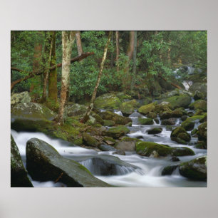 Kaskade in Cosby Poster