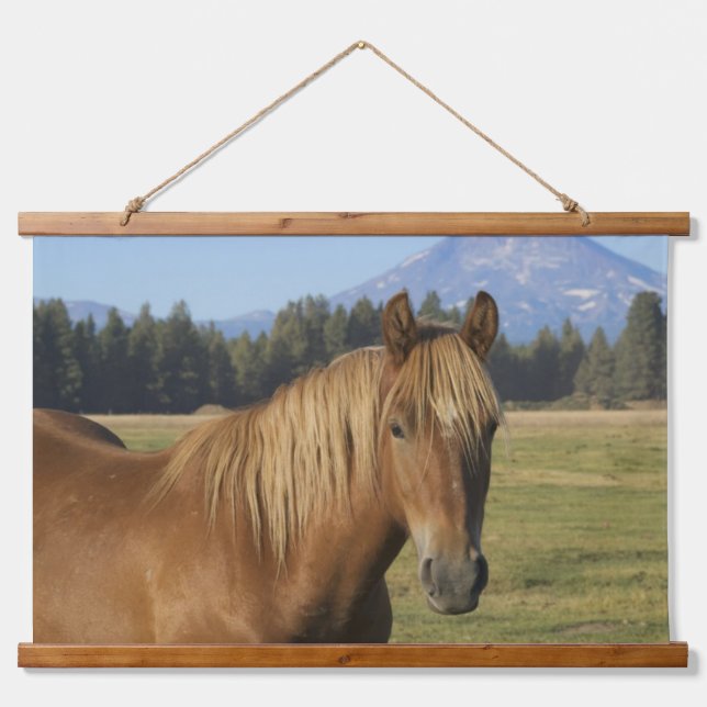 Kaskade | Kastanienpferd Wandteppich Mit Holzrahmen (Vorne)