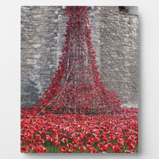 Kaskade von Poppies - Tower of London Fotoplatte