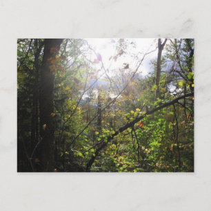 Kaskadenberg Postkarte