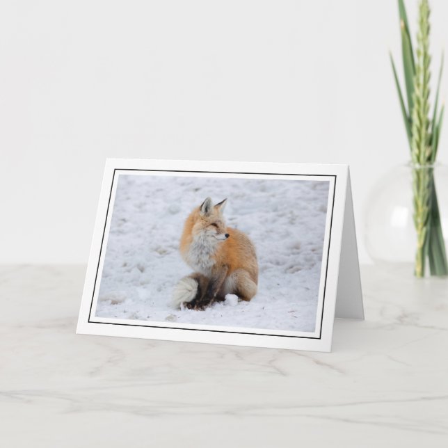 Kaskadenfox im Schnee Feiertagskarte (Vorderseite)