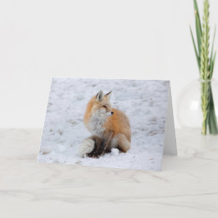 Kaskadierter Fox im Schnee Feiertagskarte