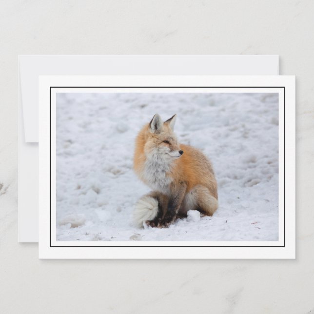 Kaskadierter Fox im Schnee Feiertagskarte (Vorderseite)