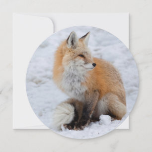Kaskadierter Fox im Schnee Feiertagskarte