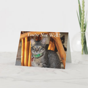 Kaspische Karte wird bald gut