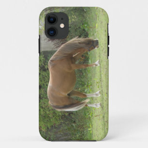 Kastanie Brown Horse Grazing iPhone Case