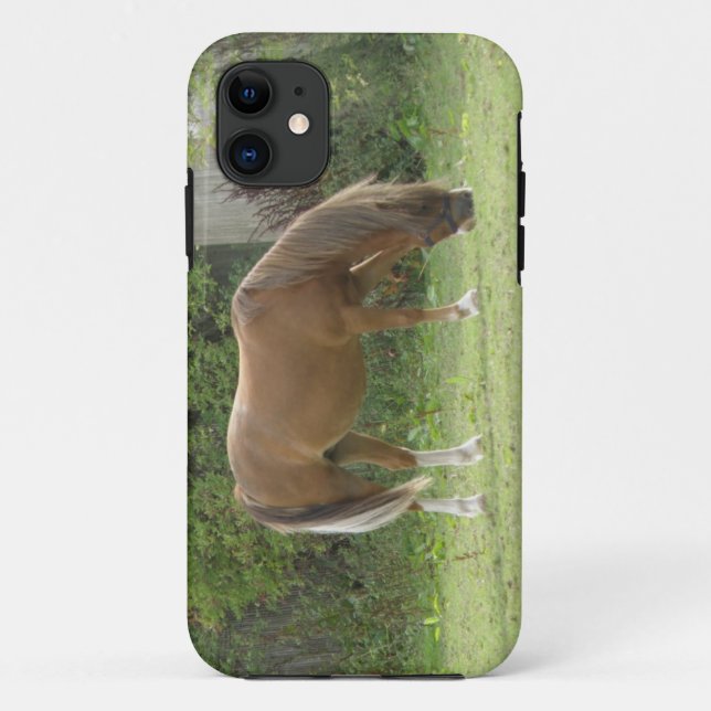 Kastanie Brown Horse Grazing iPhone Case (Rückseite)