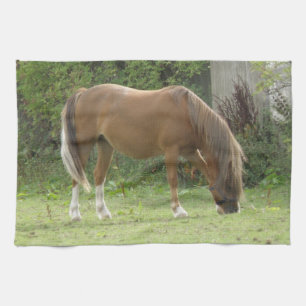 Kastanie Brown Horse Grazing Küchentuch