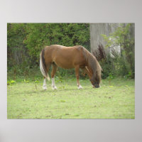 Kastanie Brown Horzing Poster
