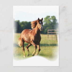 Kastanie Galloping Pferd Postkarte