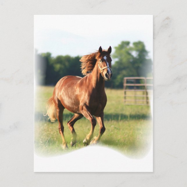 Kastanie Galloping Pferd Postkarte (Vorderseite)