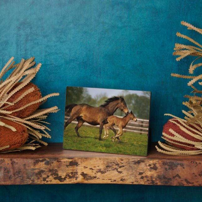 Kastanie-Mare & Foal Fotoplatte (Seite)