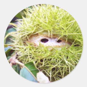 Kastanie Runder Aufkleber