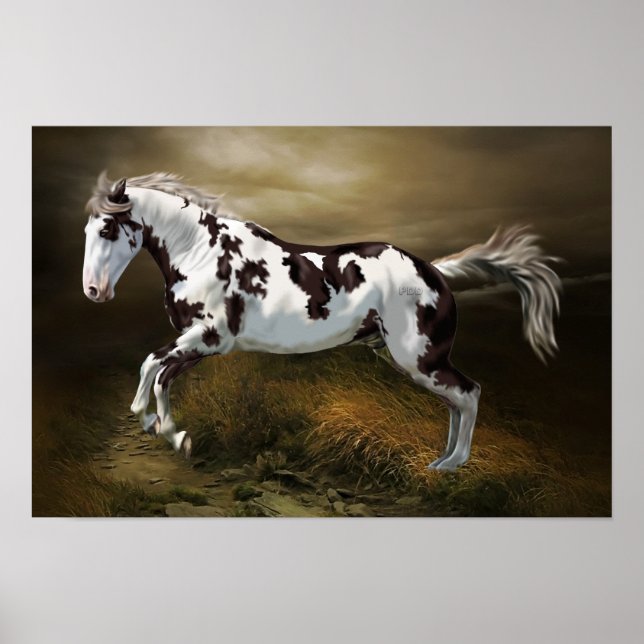 Kastanie-Splash Rahmen Tovero Paint Horse Poster (Vorne)