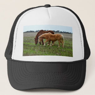 Kastanie und Palomino Foal, Truckerkappe