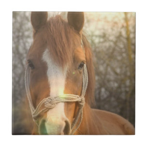 Kastanien-arabische Pferdefliese Fliese