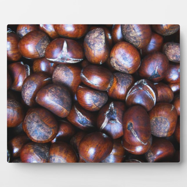 Kastanien Fotoplatte (Vorderseite)