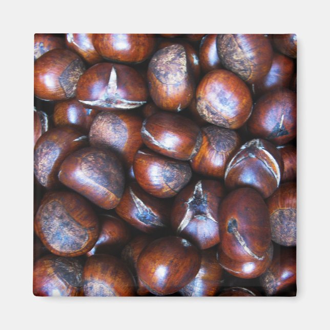 Kastanien Magnet (Vorne)