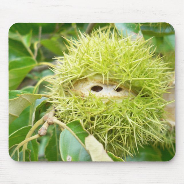 Kastanien-Mausunterlage Mousepad (Vorne)