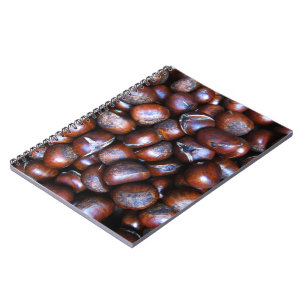 Kastanien Notizblock