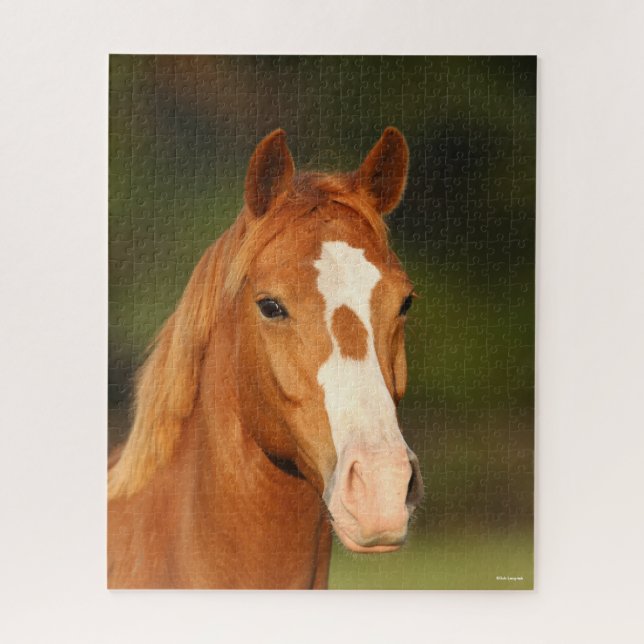 Kastanien Oldenburg Cross Welsh Headshot Puzzle (Vertikal)