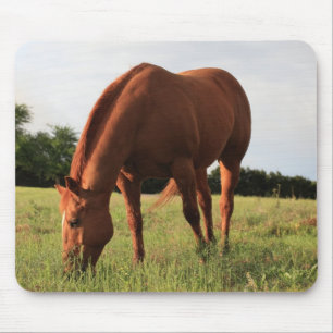 Kastanien-Pferd Mousepad