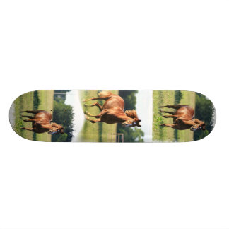 Kastanien-PferdeSkateboard Skateboard