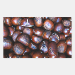 Kastanien Rechteckiger Aufkleber