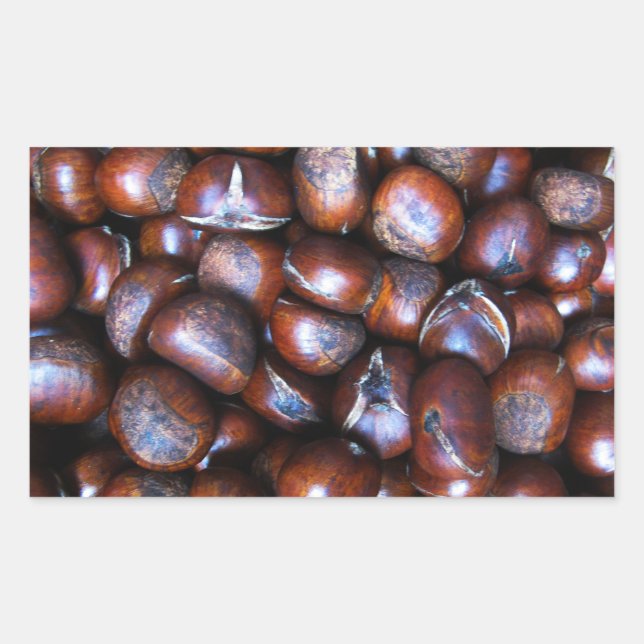 Kastanien Rechteckiger Aufkleber (Vorderseite)