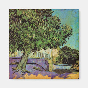 Kastanienbaum in Blossom von Vincent van Gogh Magnet