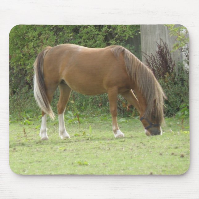 Kastanienbraun Pferdeweide Mousepad (Vorne)
