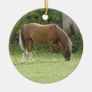 Kastanienbraun Pferdeweiden Keramikornament