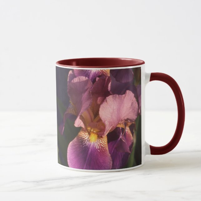 Kastanienbraun-und Rosa-bärtige niederländische Tasse (Rechts)
