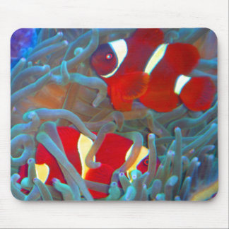 Kastanienbraune Clownfish Mausunterlage Mousepad