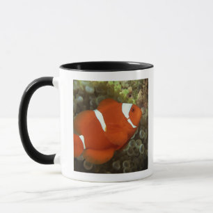 Kastanienbraune clownfish mit Seeanemone Tasse