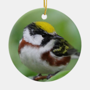 Kastaniengrasmücke Keramik Ornament