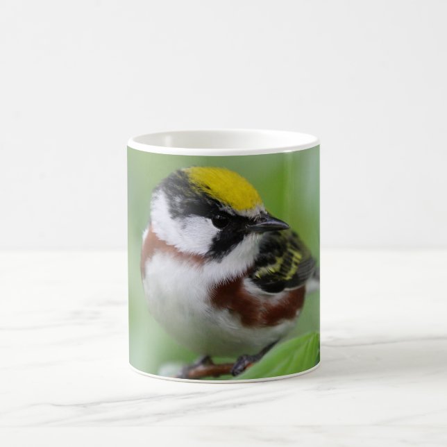Kastanienhalde Kaffeetasse (Mittel)