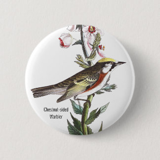 Kastanienholz, Audubon, Vogelbeobachter Zubehör, Button
