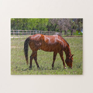 Kastanienpferd auf dem Feld Puzzle
