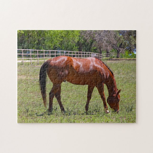 Kastanienpferd auf dem Feld Puzzle (Horizontal)